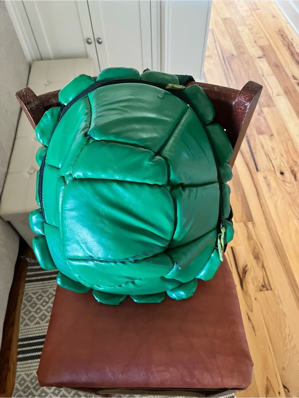 Green Turtle Shell Reptile Hide / Habitat Accessory